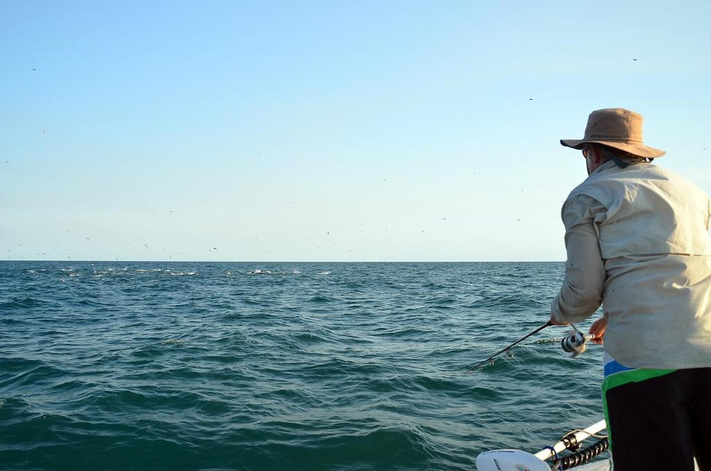 Getting in range of feeding tuna is often the hardest part.  It’s amazing how good they are at staying just out of range! - Winter quick tripping for tuna © Lee Brake